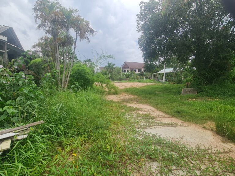 Land in Huai Yai, Pattaya, 200 sq wah, with Permit and Plans for 3 Pool Villas, photo 3