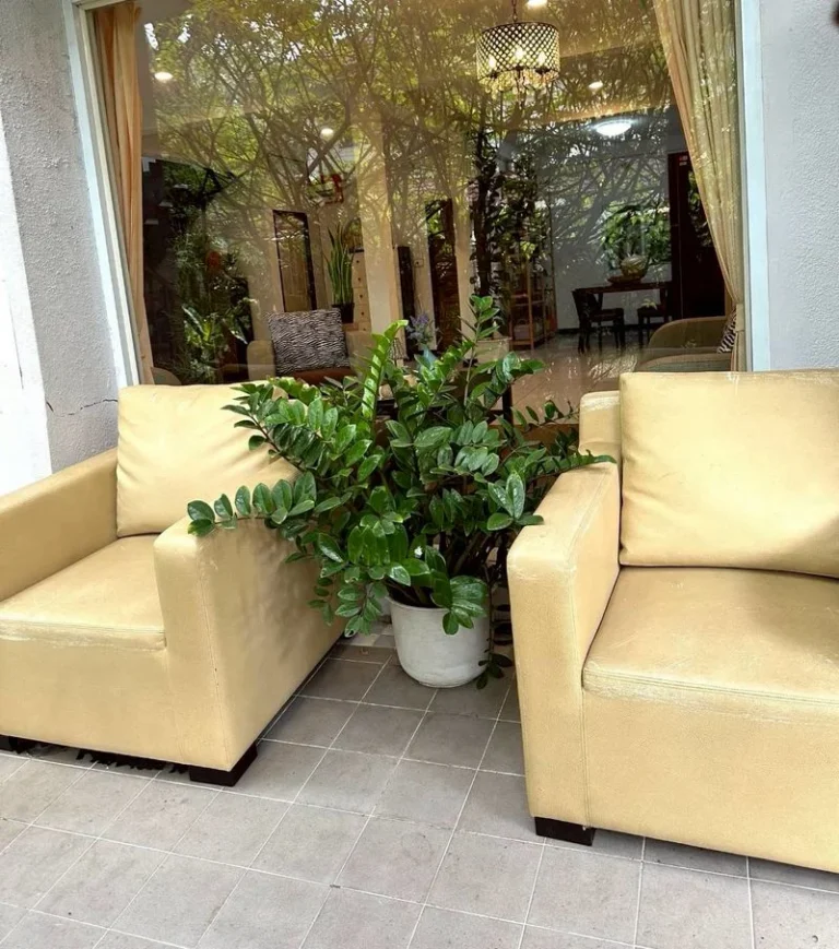 4-Bedroom Detached House on Ramkhamhaeng 112, 120 sq.wah, Tropical Garden, photo 15