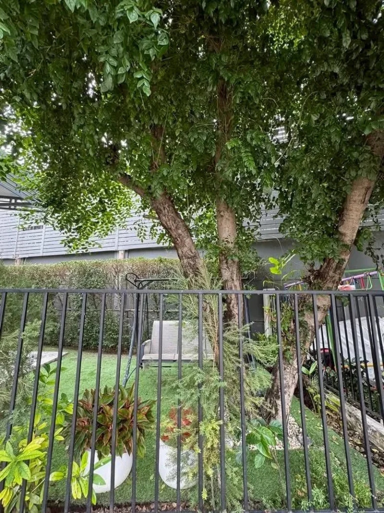 Corner Detached House in Krungthep Kreetha, 70 sq wah, 4 Bedrooms, photo 16