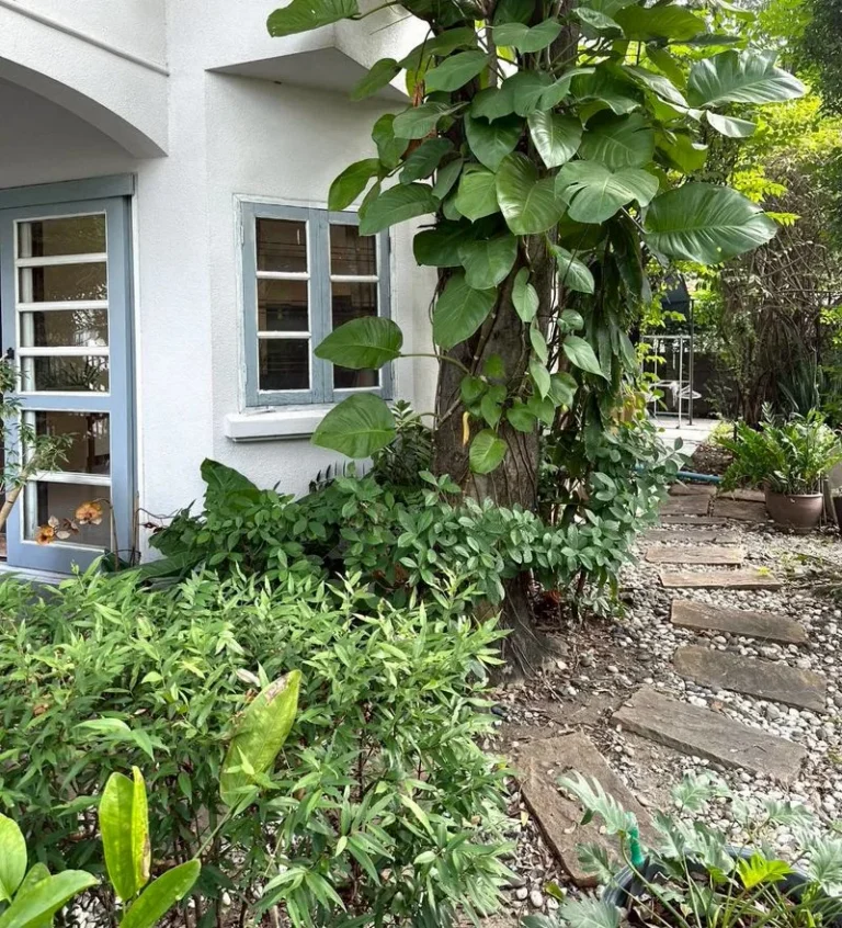 4-Bedroom Detached House on Ramkhamhaeng 112, 120 sq.wah, Tropical Garden, photo 17