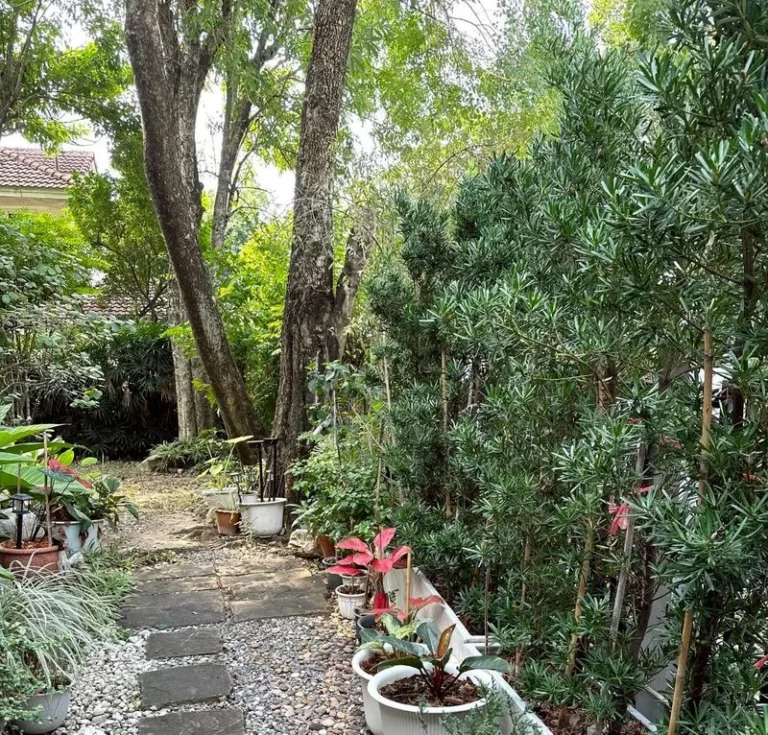 4-Bedroom Detached House on Ramkhamhaeng 112, 120 sq.wah, Tropical Garden, photo 18