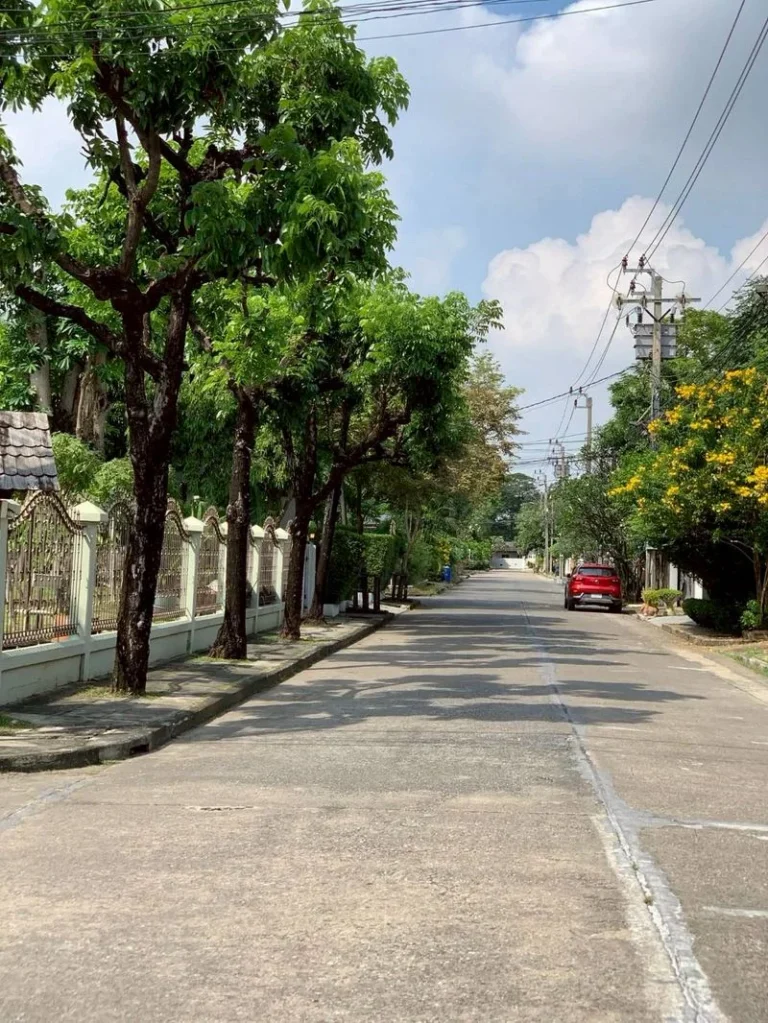4-Bedroom Detached House on Ramkhamhaeng 112, 120 sq.wah, Tropical Garden, photo 20