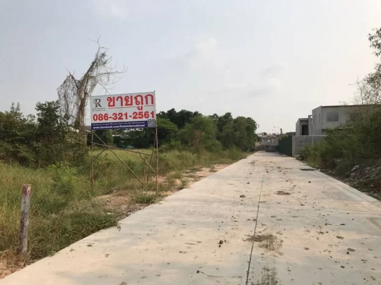 รูปที่ 2 ของ ที่ดิน 3 ไร่ เพิ่มสิน 66