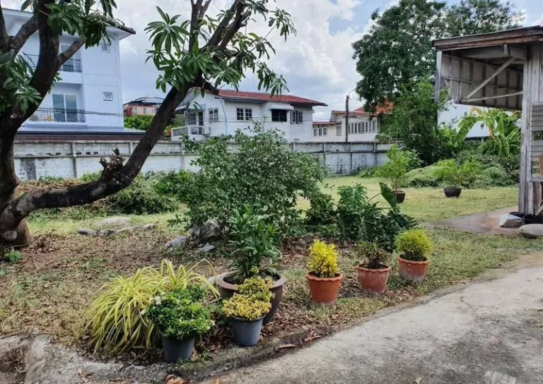 รูปที่ 3 ของ ที่ดิน สุทธิสาร 182 ตร.ว.