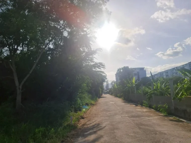 440 sq.wah of Land in Hua Hin, 150 m from the Sea, photo 4