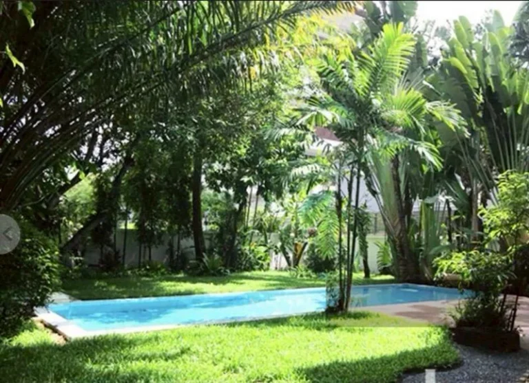 House and Land on Soi Ekkamai, Bangkok, 504 sq wah, with Pool, photo 7