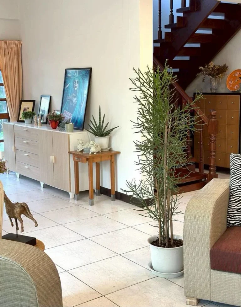 4-Bedroom Detached House on Ramkhamhaeng 112, 120 sq.wah, Tropical Garden, photo 9