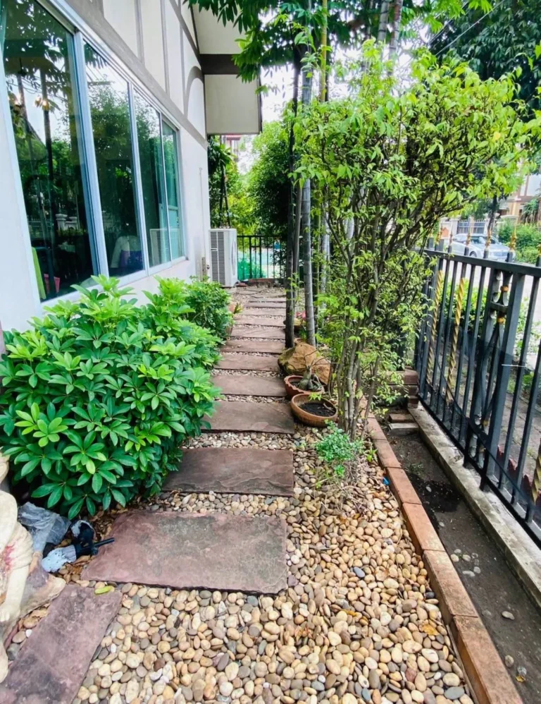 Stepping-stone garden path beside the house