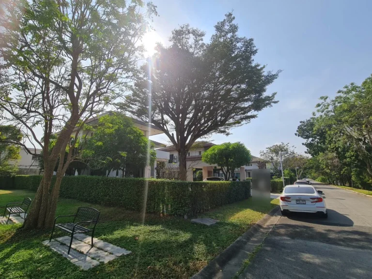 Village park next to the house