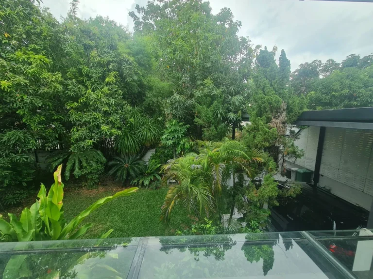 Tropical garden seen from above
