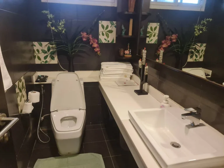 Guest powder room