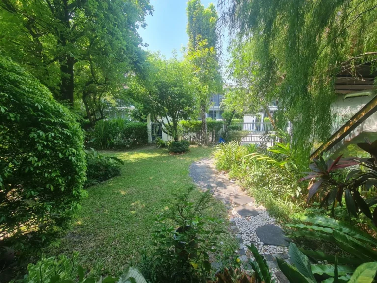 Wide lawn and mature trees in the garden